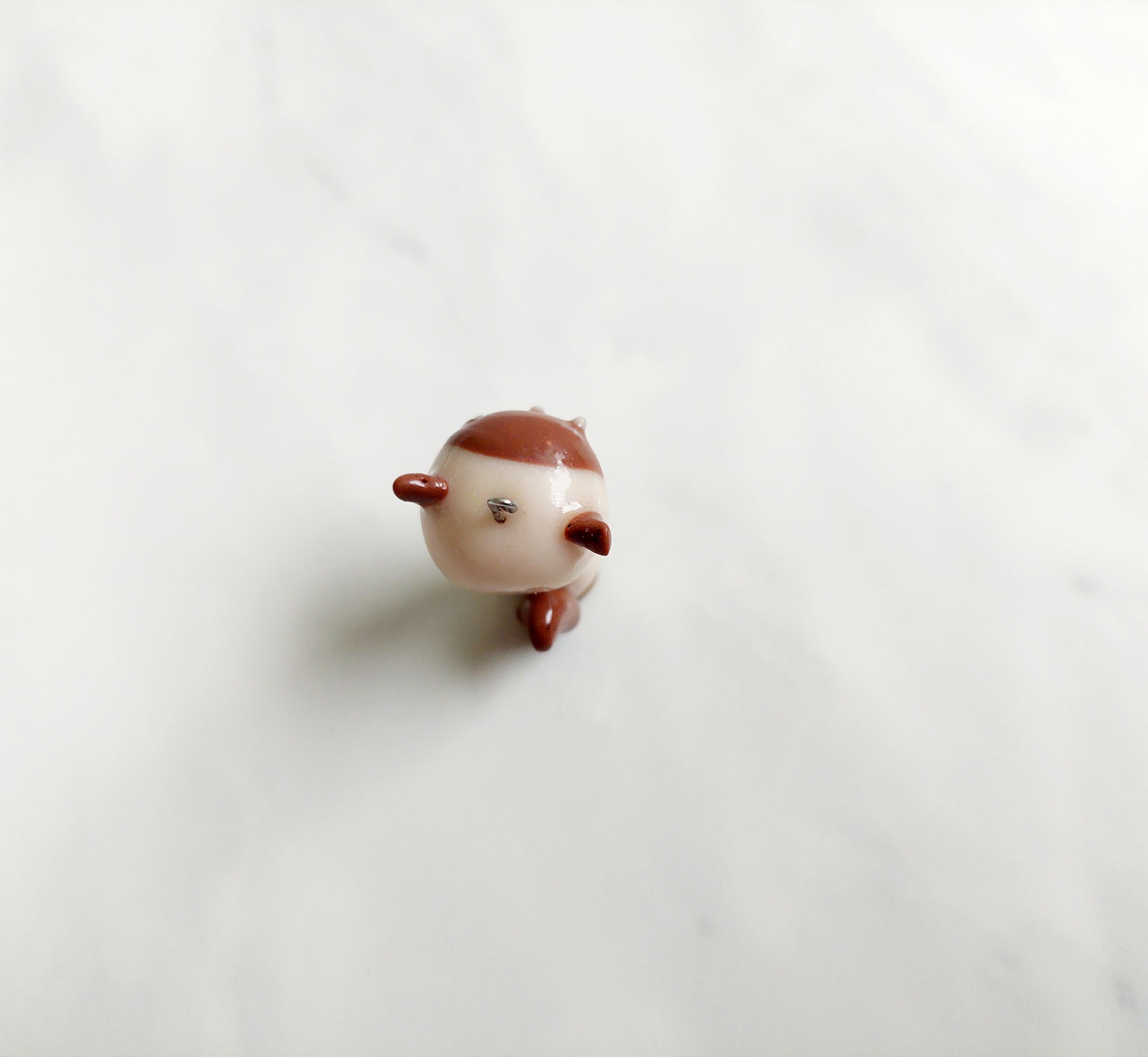 Shamu-Neko der Siam-Katze-Charm